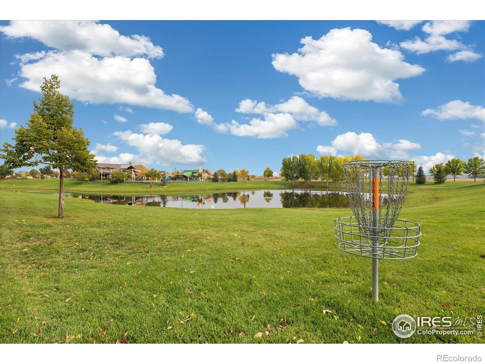 MLS Image #43 for 5801  dressage street,timnath, Colorado