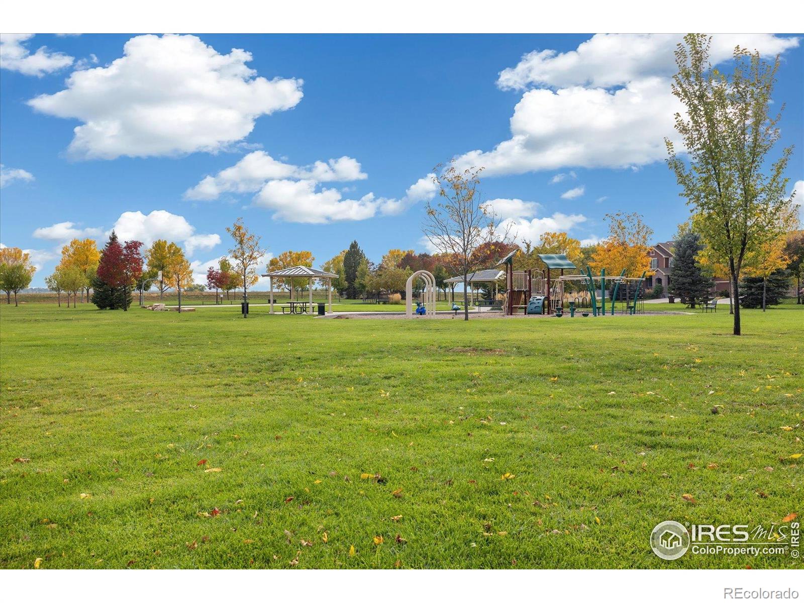 MLS Image #45 for 5801  dressage street,timnath, Colorado
