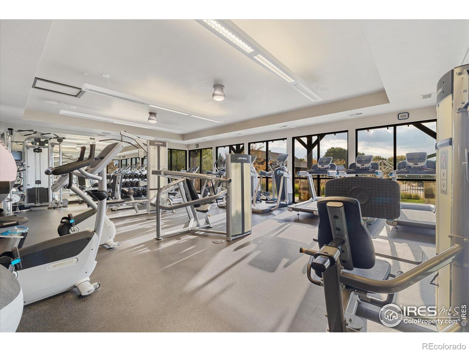 MLS Image #46 for 5801  dressage street,timnath, Colorado