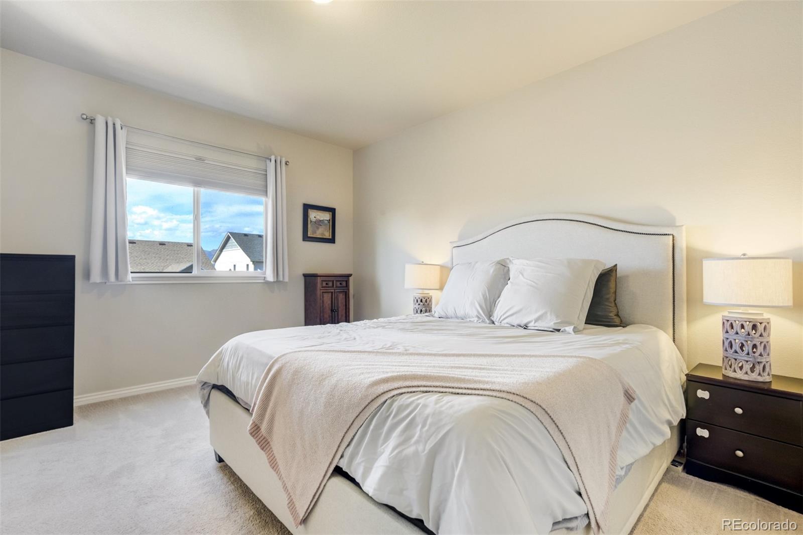 MLS Image #13 for 10880  warm sunshine drive,colorado springs, Colorado