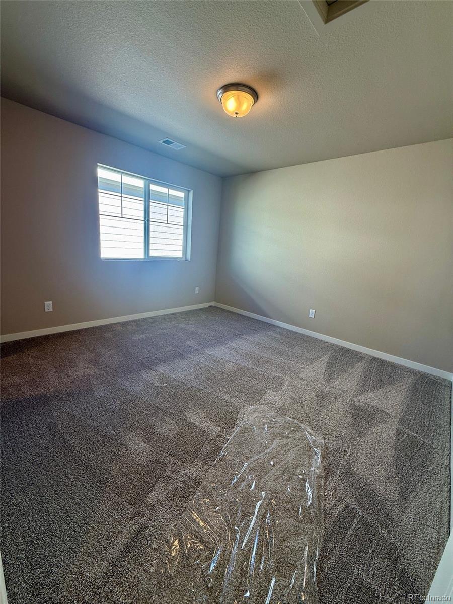 MLS Image #15 for 726 n carrie court,watkins, Colorado