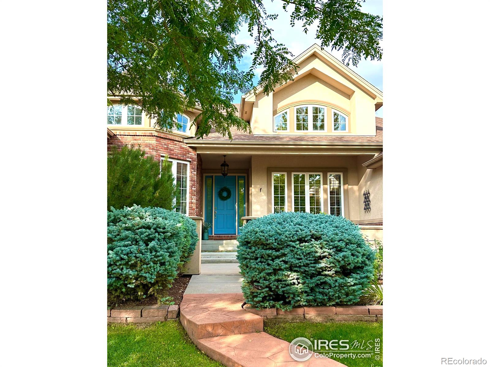 MLS Image #1 for 1951  sundance drive,longmont, Colorado