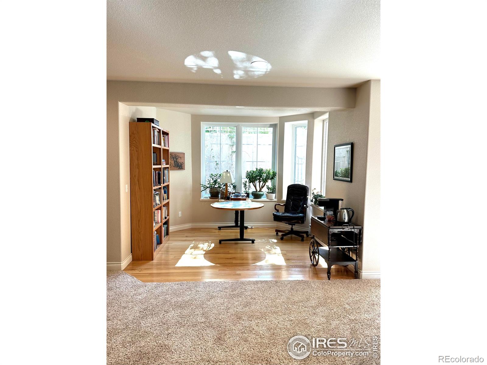 MLS Image #20 for 1951  sundance drive,longmont, Colorado