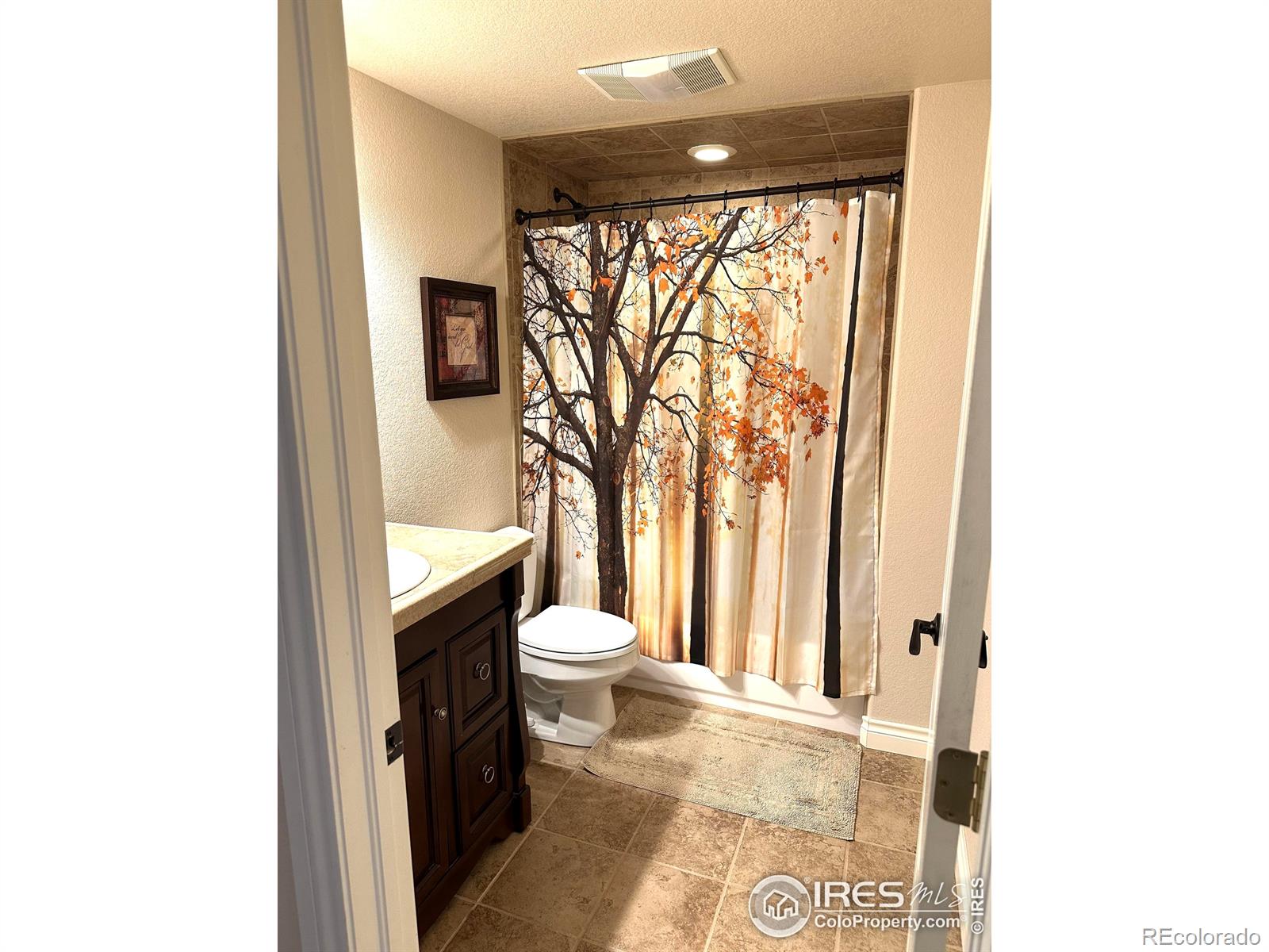 MLS Image #28 for 1951  sundance drive,longmont, Colorado