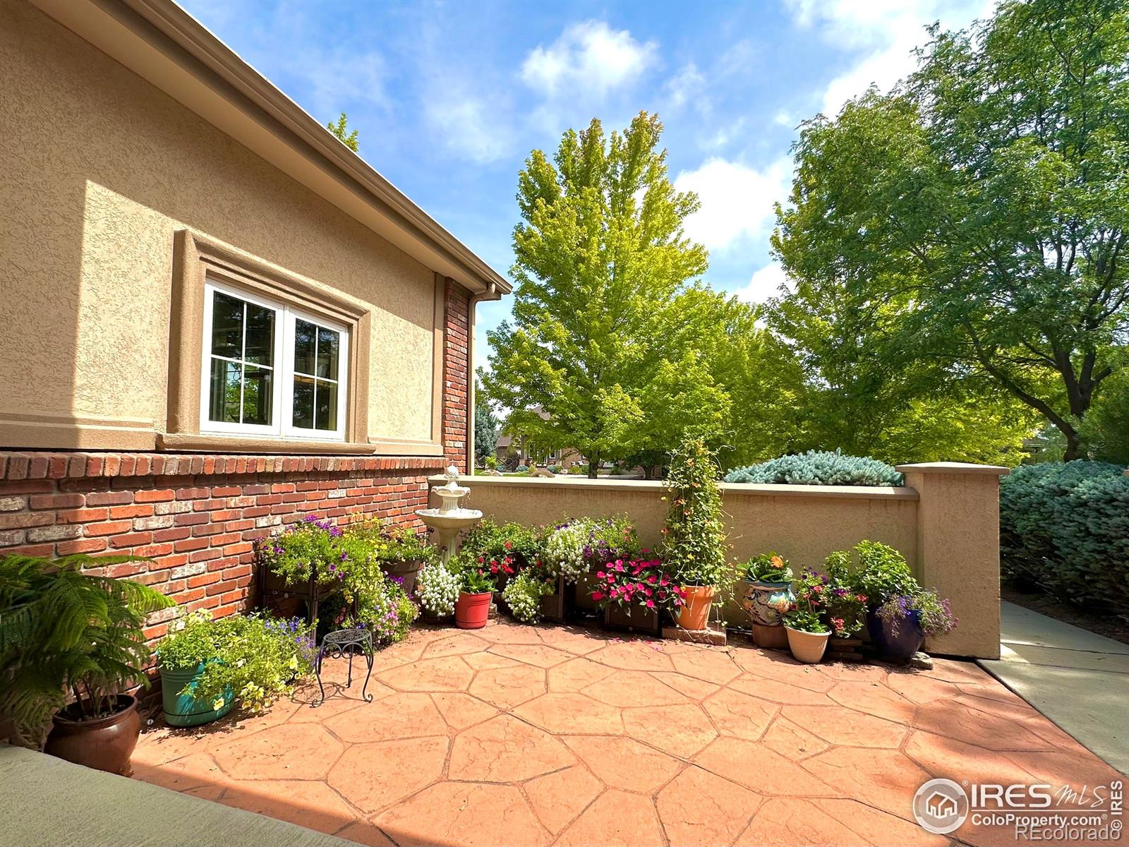 MLS Image #31 for 1951  sundance drive,longmont, Colorado