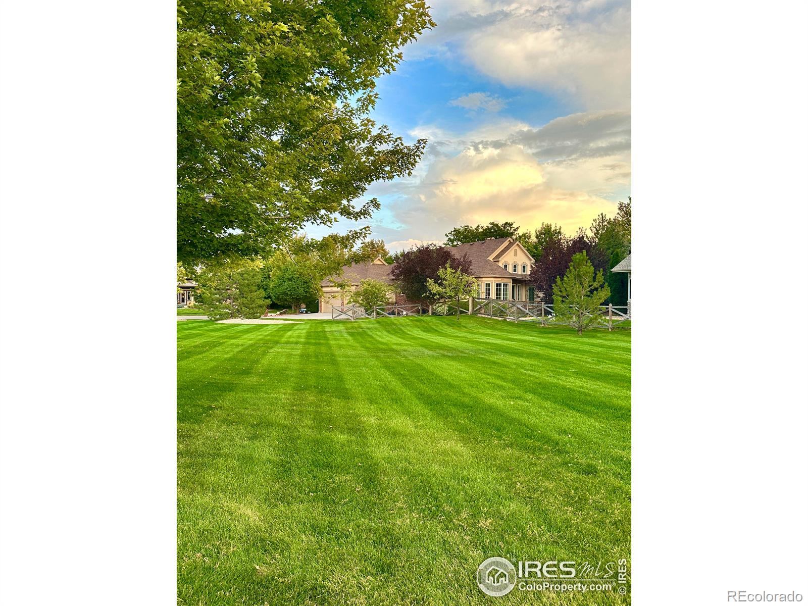 MLS Image #33 for 1951  sundance drive,longmont, Colorado