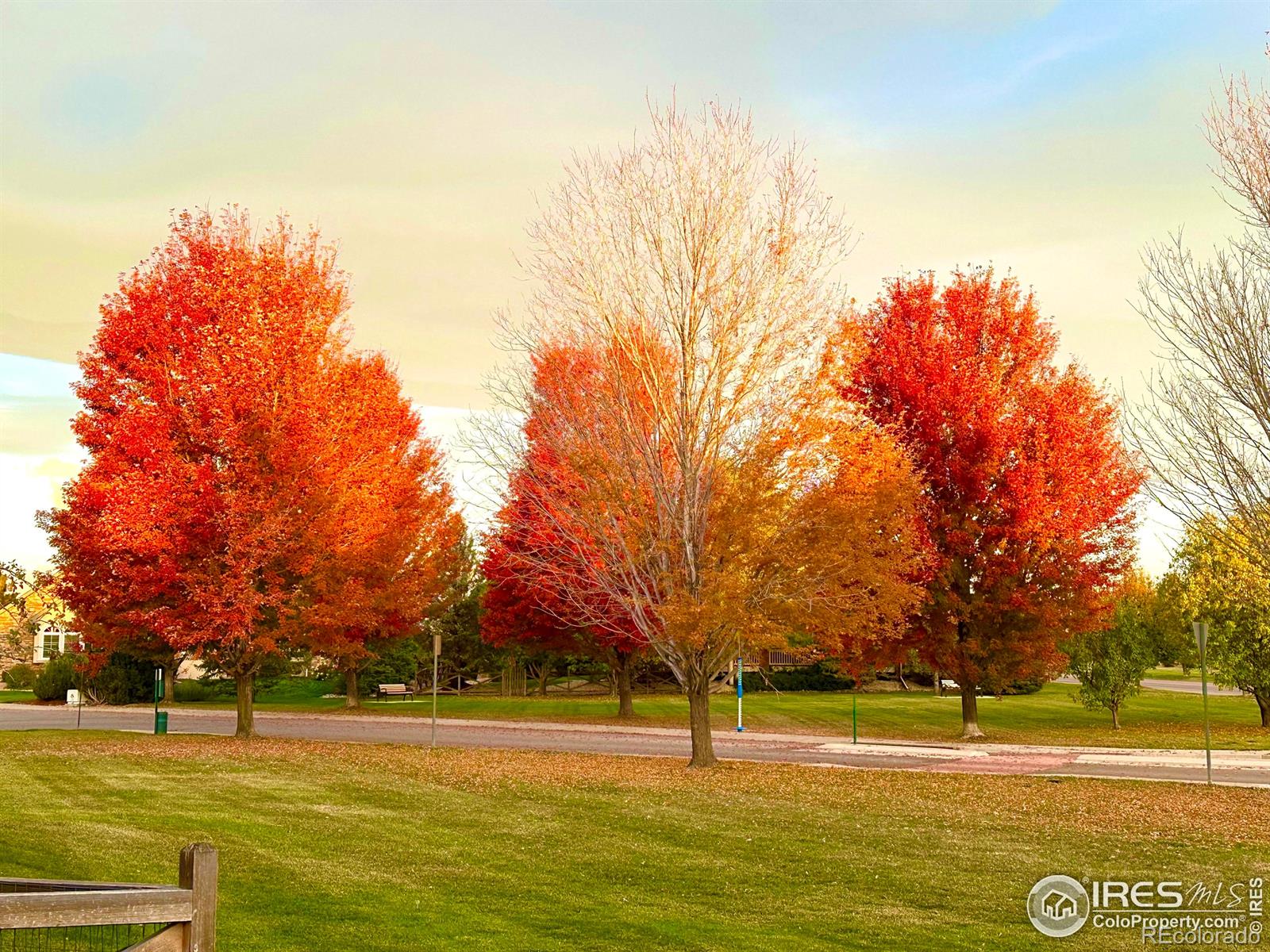 MLS Image #34 for 1951  sundance drive,longmont, Colorado