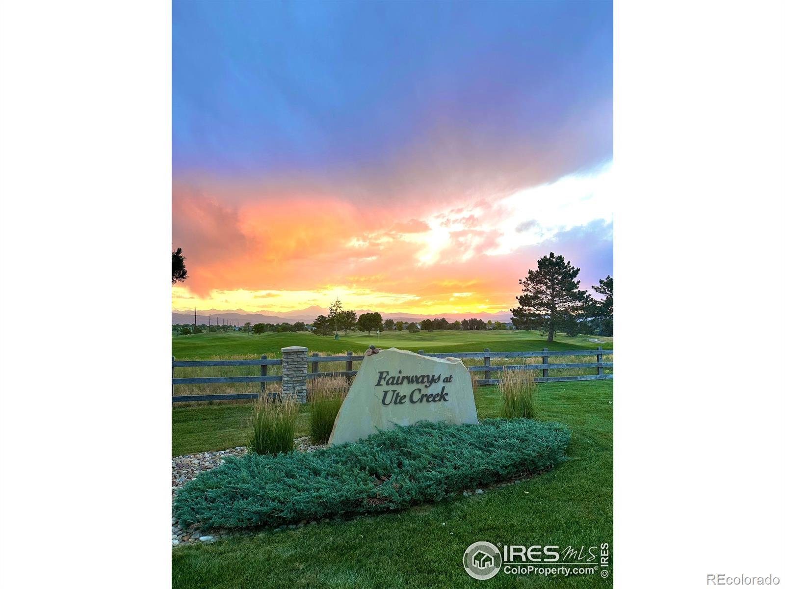 MLS Image #36 for 1951  sundance drive,longmont, Colorado