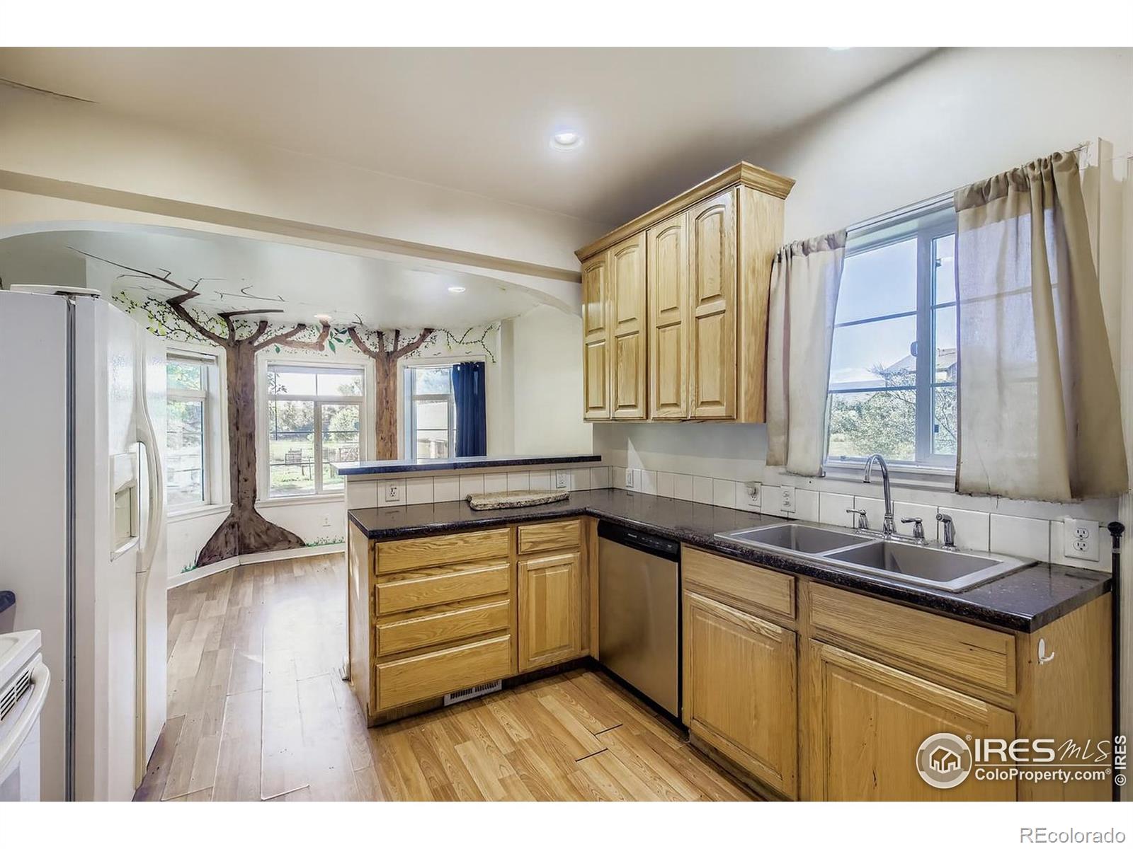 MLS Image #6 for 715  hover street,longmont, Colorado