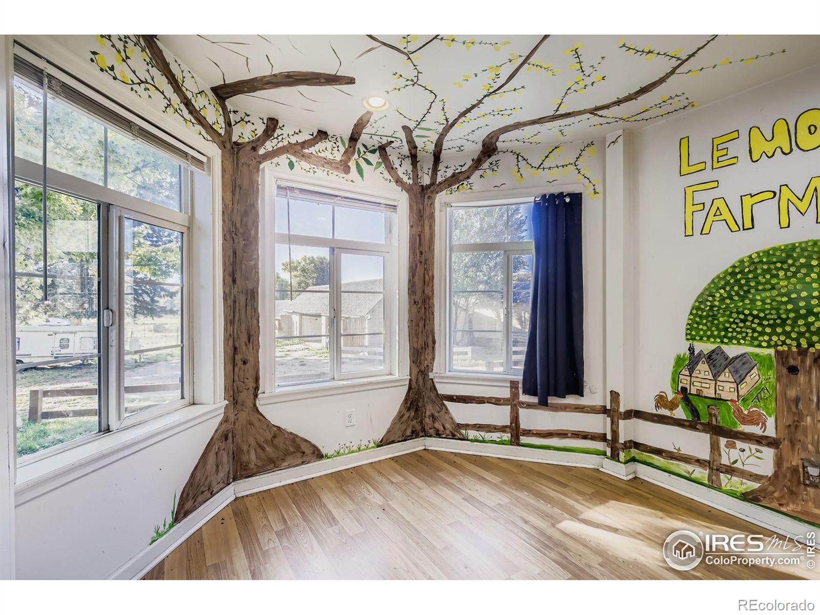 MLS Image #7 for 715  hover street,longmont, Colorado