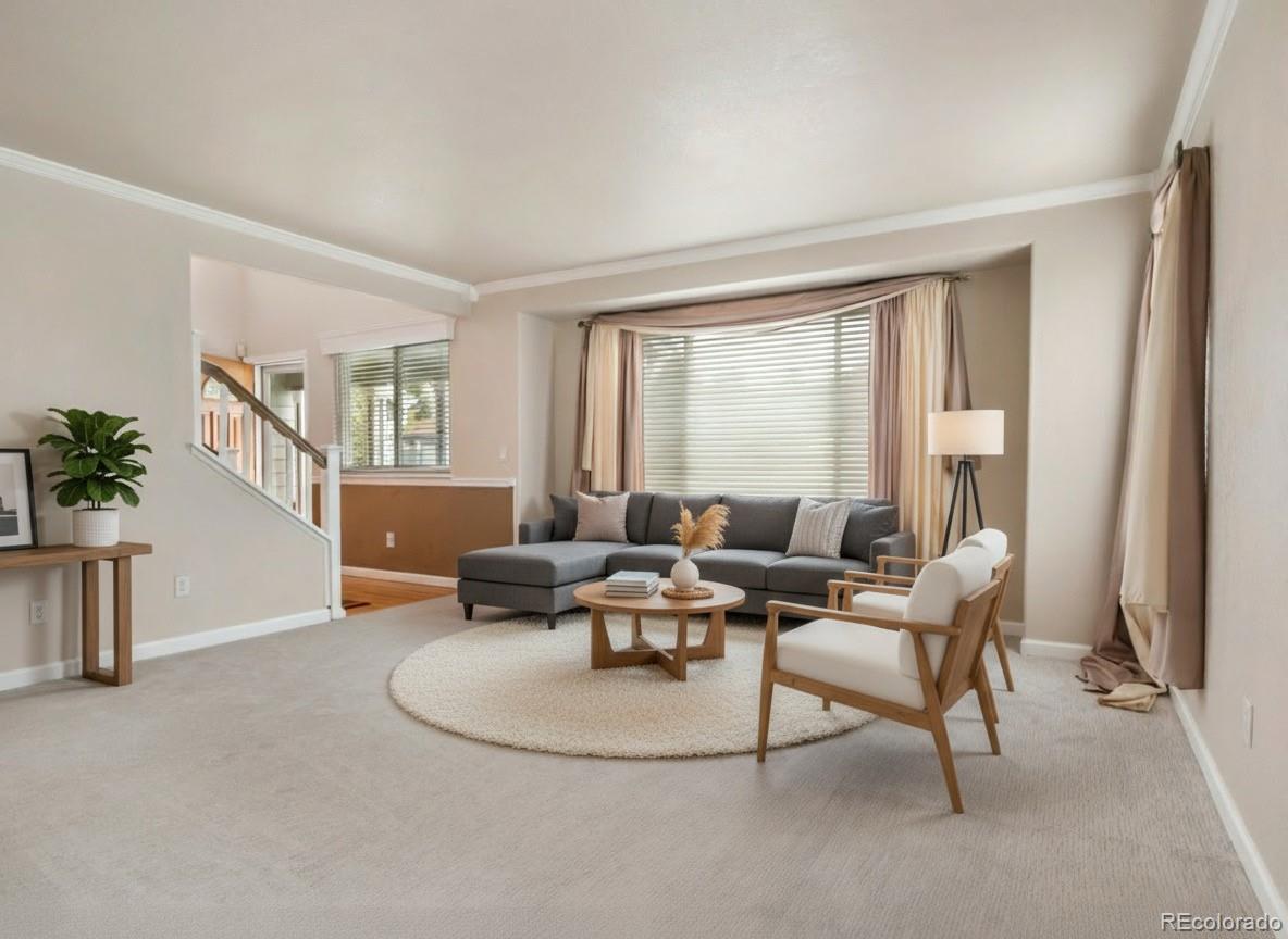 MLS Image #10 for 7316  meadow view,parker, Colorado