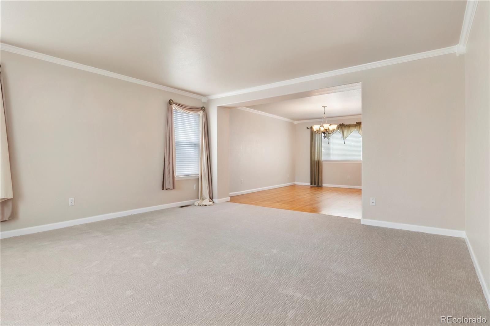 MLS Image #9 for 7316  meadow view,parker, Colorado