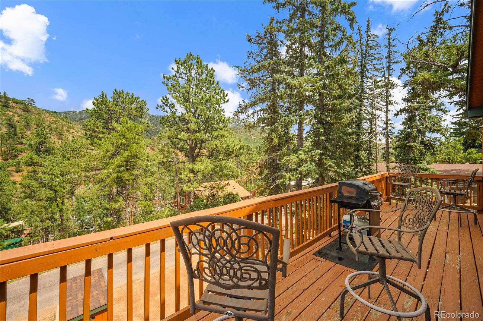 MLS Image #12 for 9845  mesa road,cascade, Colorado