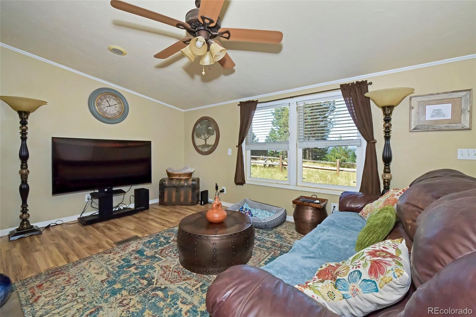 MLS Image #14 for 44  southpark road,florissant, Colorado