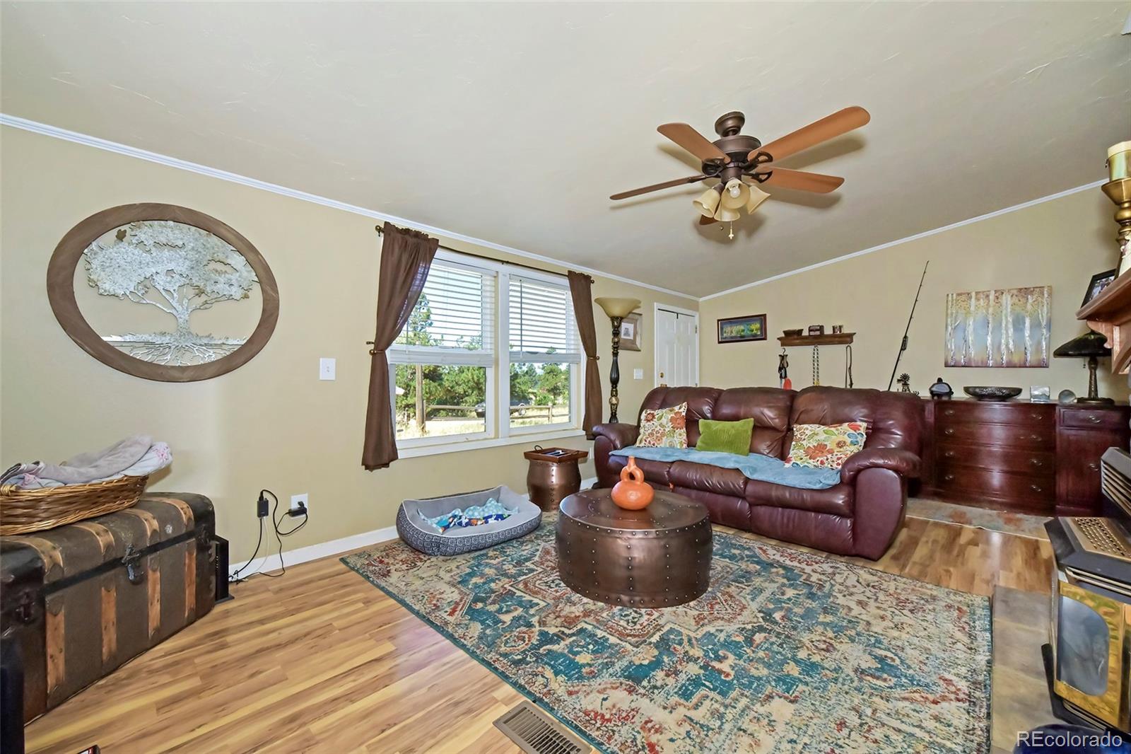 MLS Image #15 for 44  southpark road,florissant, Colorado
