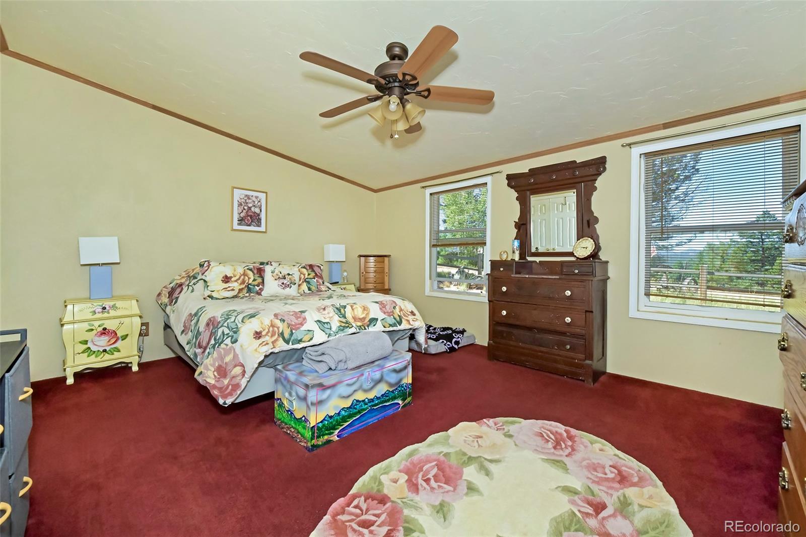 MLS Image #21 for 44  southpark road,florissant, Colorado