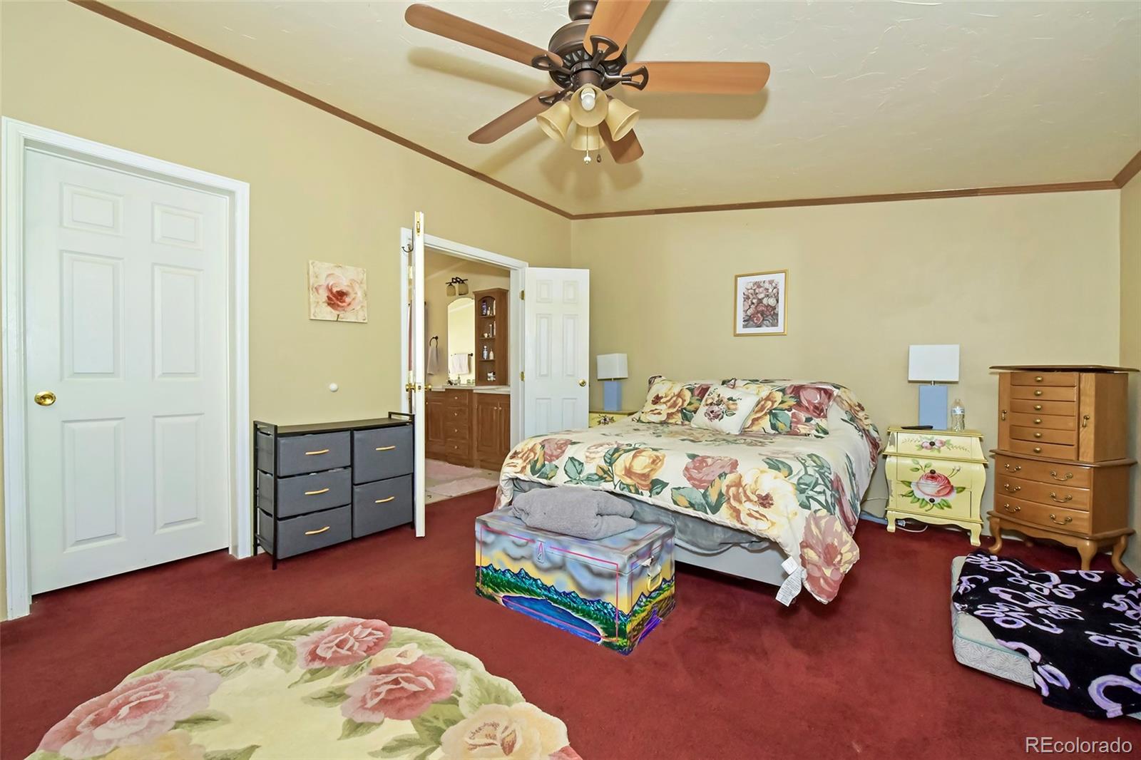 MLS Image #23 for 44  southpark road,florissant, Colorado