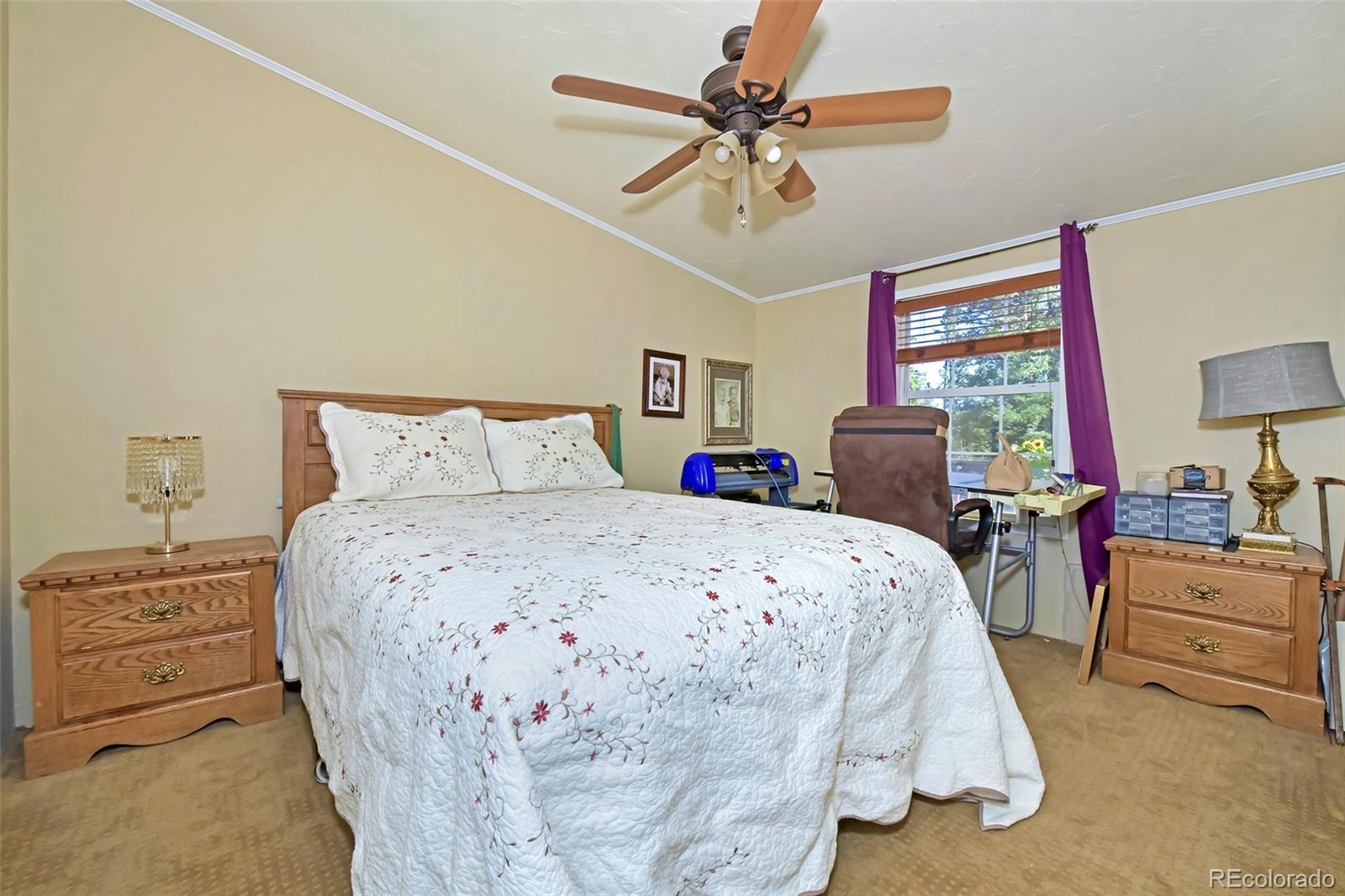 MLS Image #28 for 44  southpark road,florissant, Colorado