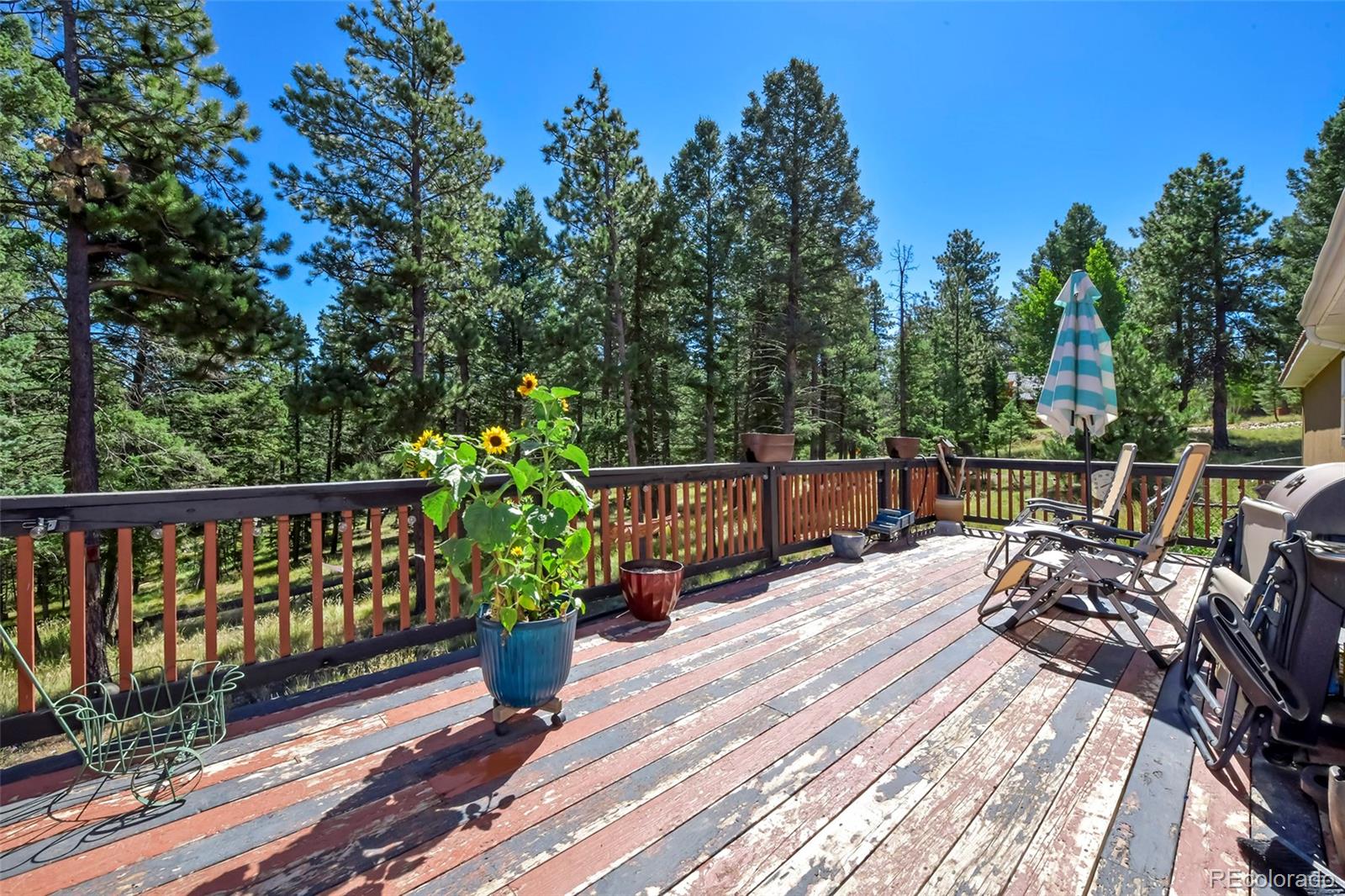 MLS Image #31 for 44  southpark road,florissant, Colorado