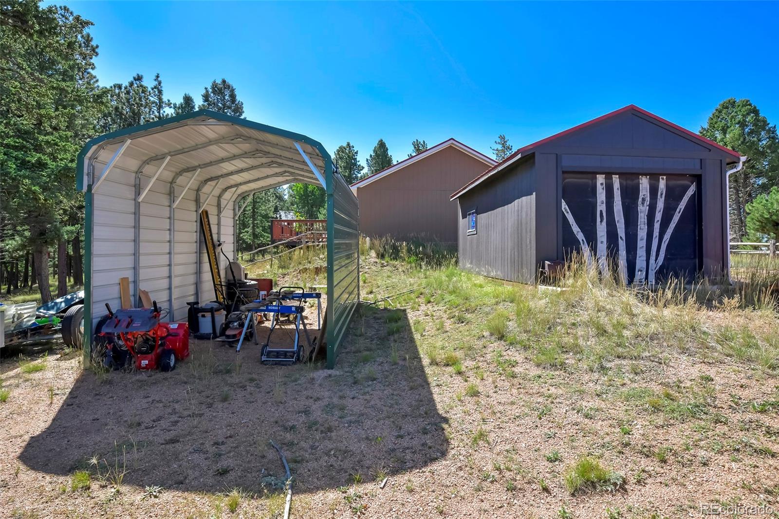 MLS Image #4 for 44  southpark road,florissant, Colorado