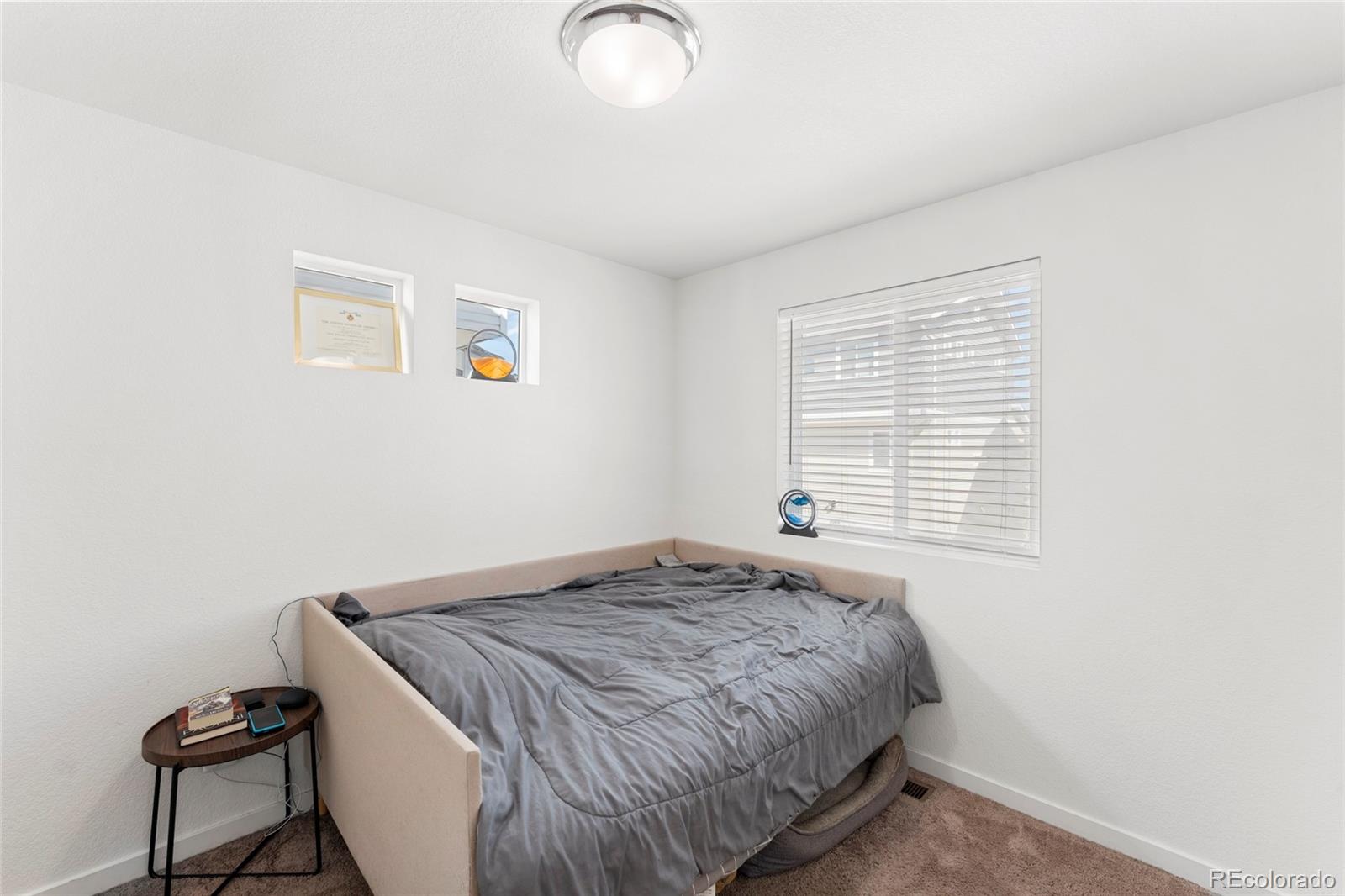 MLS Image #8 for 5856  thurless lane,colorado springs, Colorado