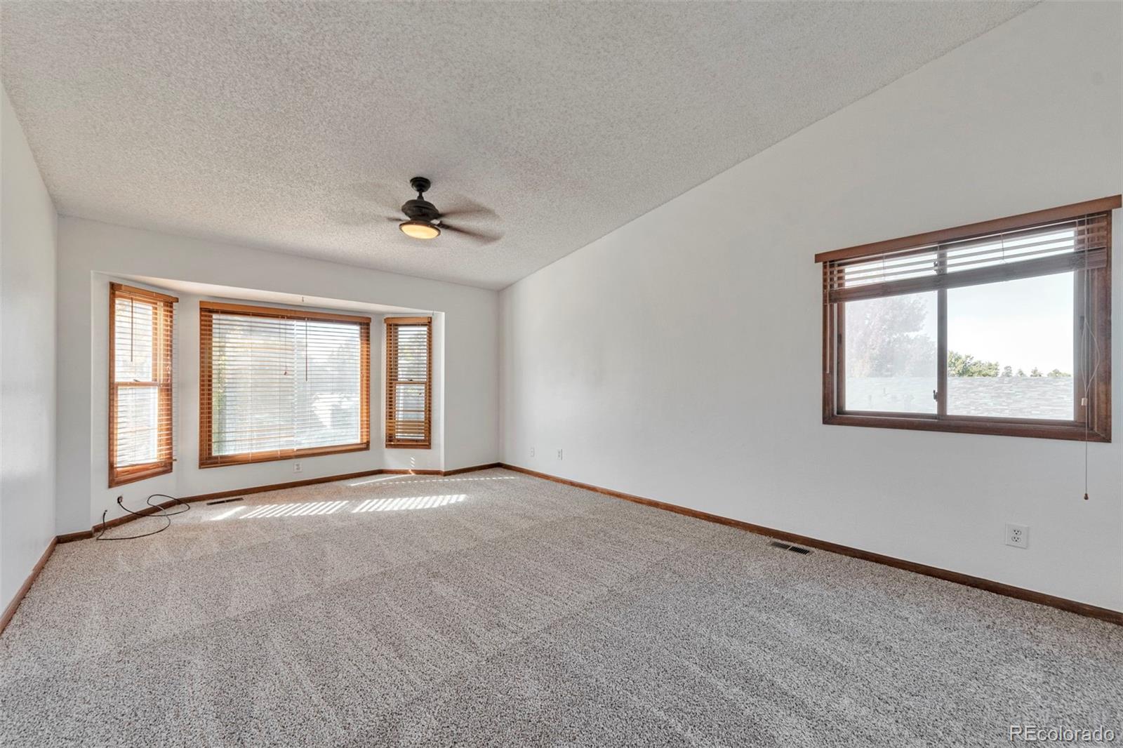 MLS Image #10 for 3136 s cathay circle,aurora, Colorado
