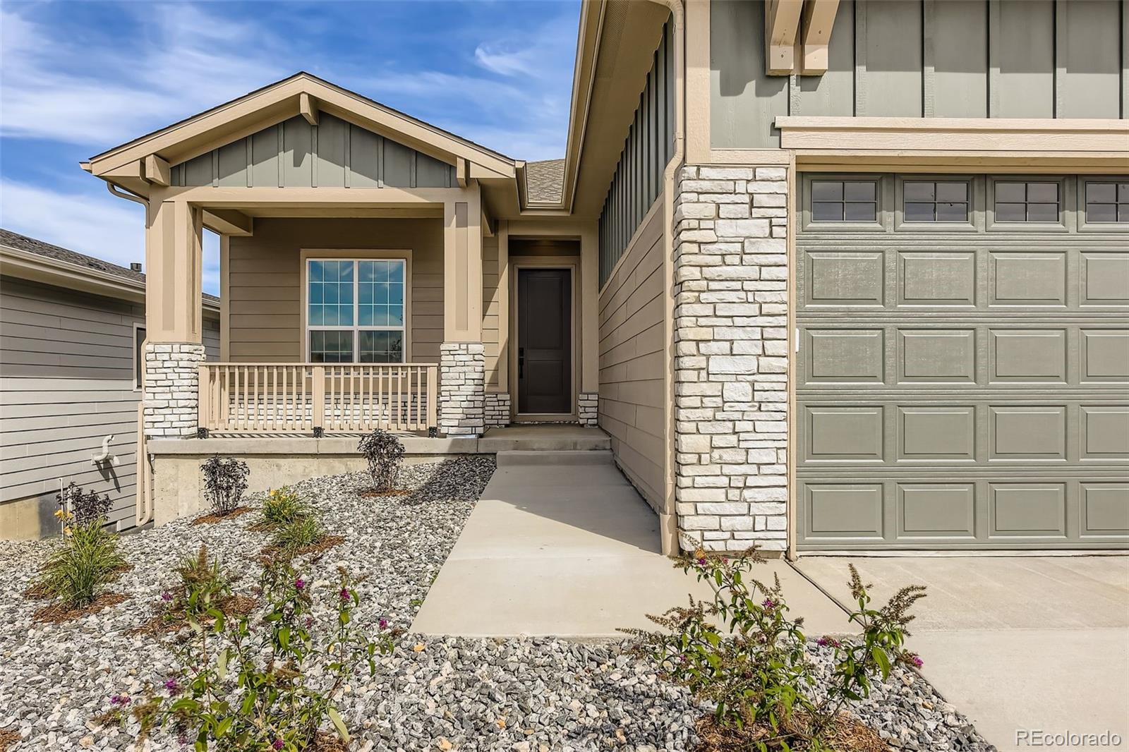 MLS Image #2 for 482  basin daisy street,castle rock, Colorado