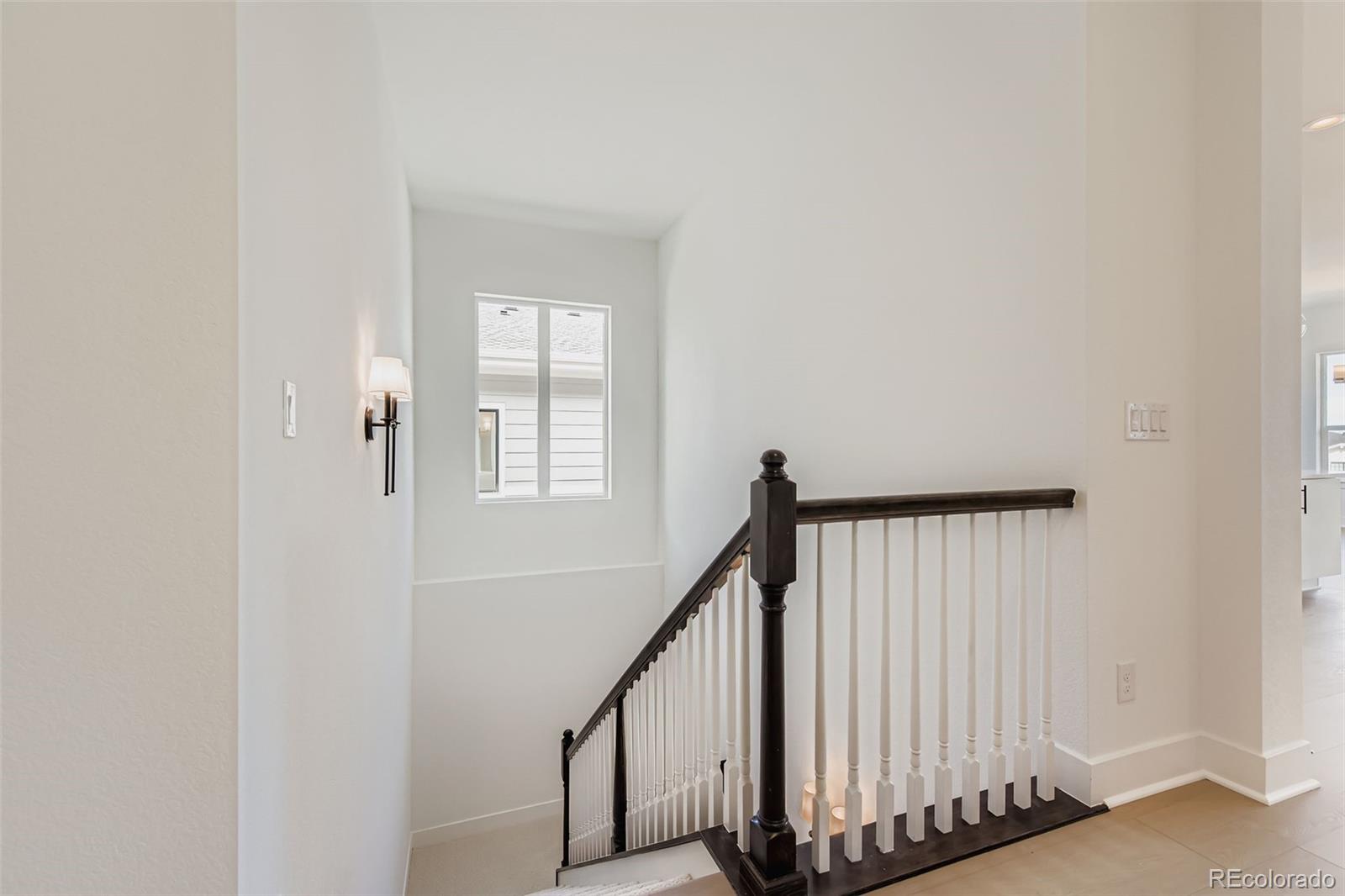 MLS Image #20 for 482  basin daisy street,castle rock, Colorado