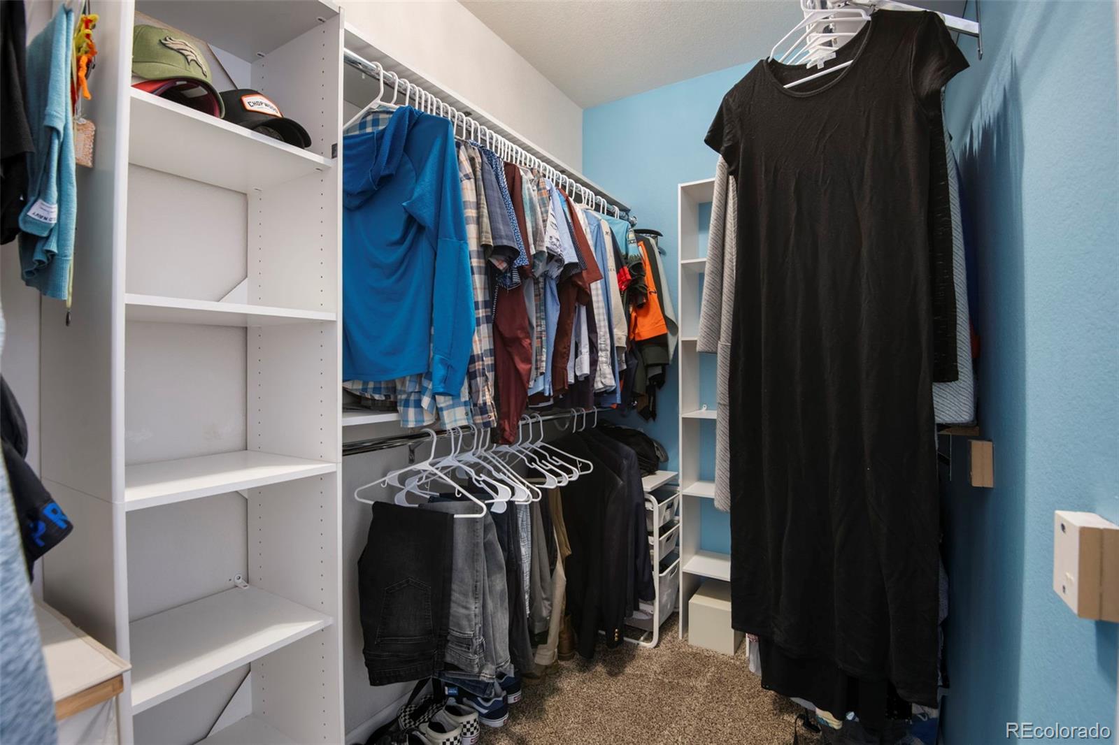 MLS Image #26 for 3098  rising moon way,castle rock, Colorado