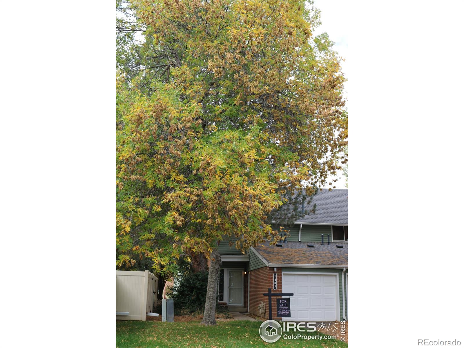 MLS Image #2 for 1407  lydia drive,lafayette, Colorado