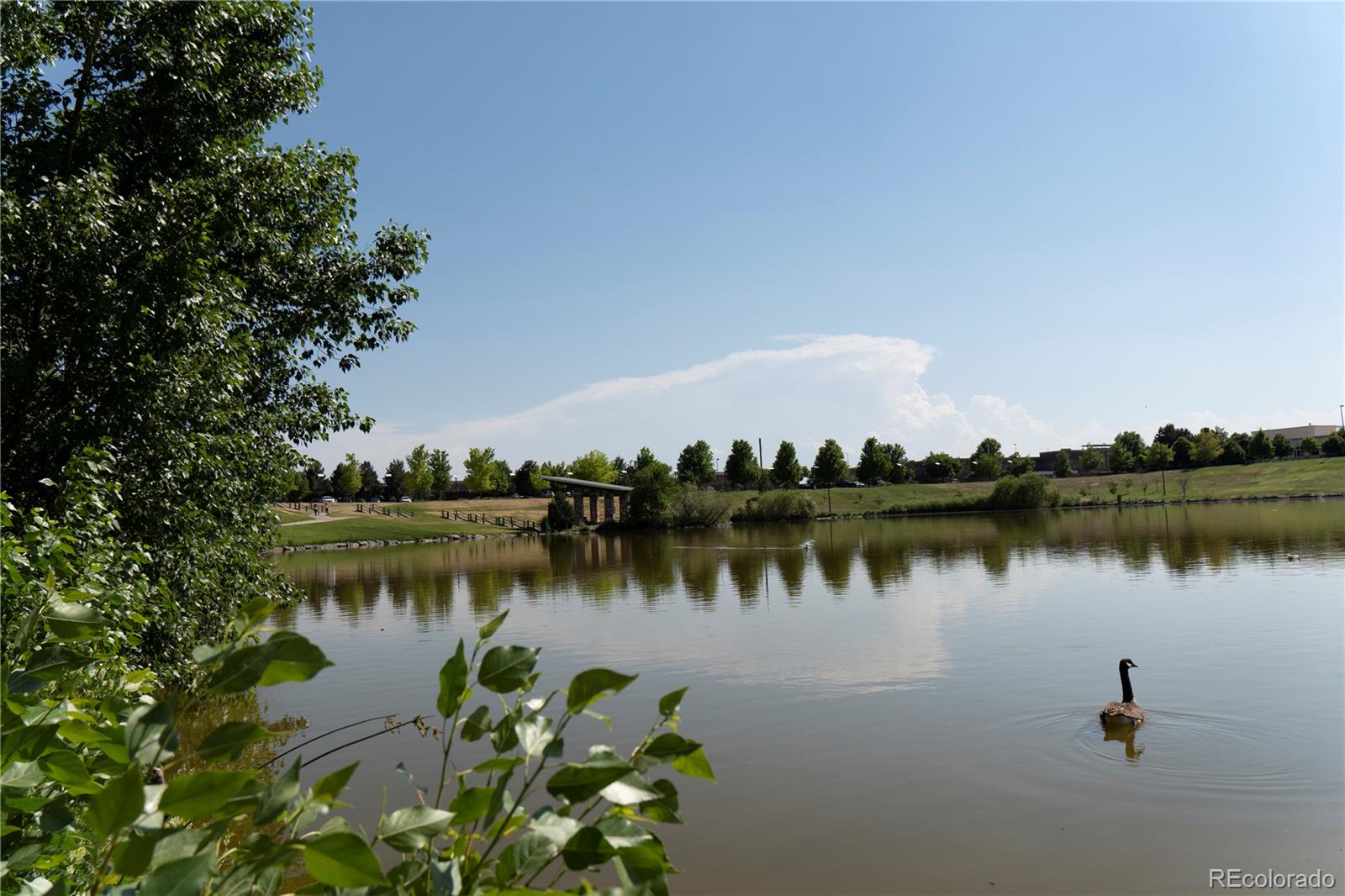 MLS Image #15 for 3970 n rome street,aurora, Colorado