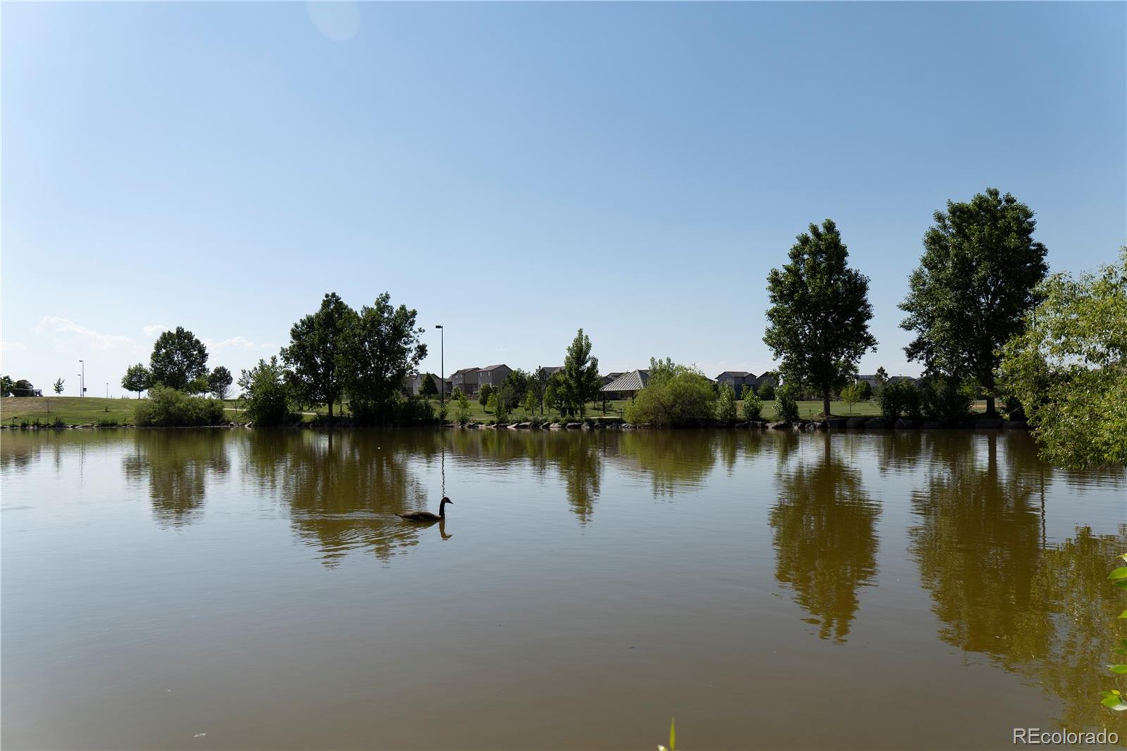 MLS Image #17 for 3970 n rome street,aurora, Colorado