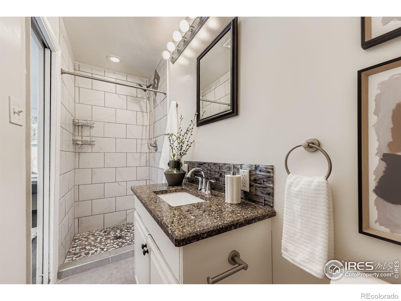 MLS Image #14 for 1700 w stoll place,denver, Colorado