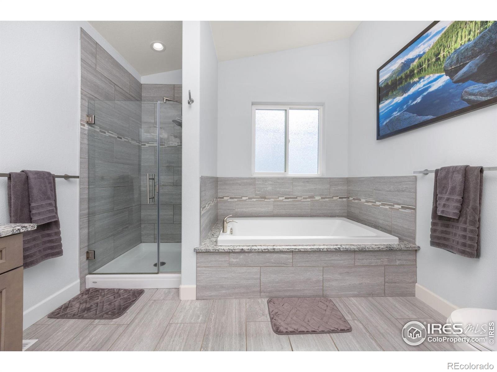 MLS Image #21 for 9441  meadow farms drive,milliken, Colorado