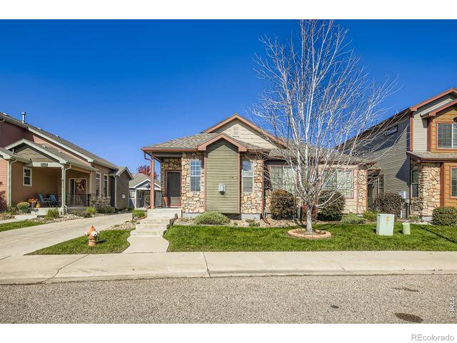 MLS Image #0 for 3453  rhea drive,loveland, Colorado