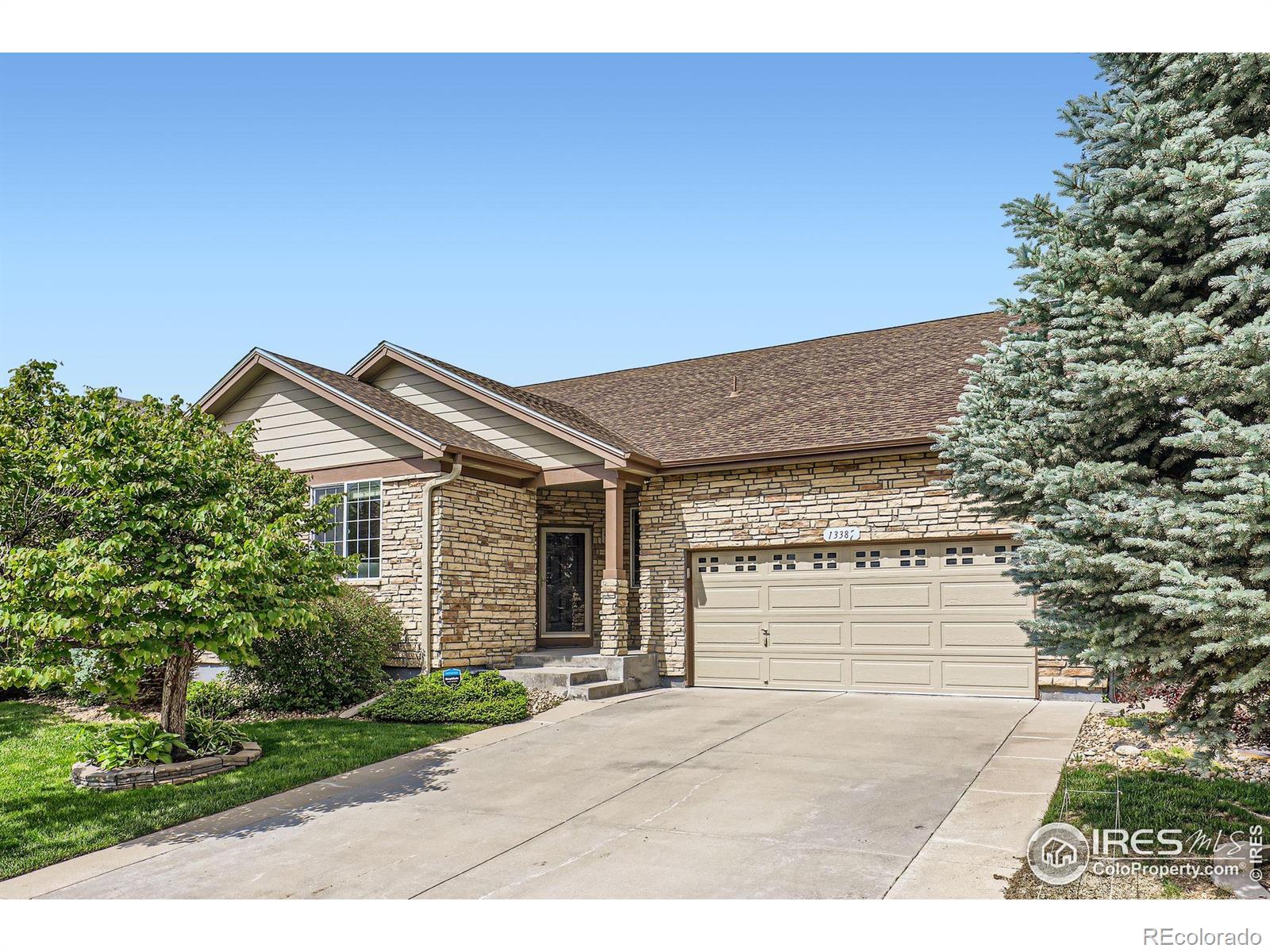 MLS Image #0 for 13385  jasmine street,thornton, Colorado