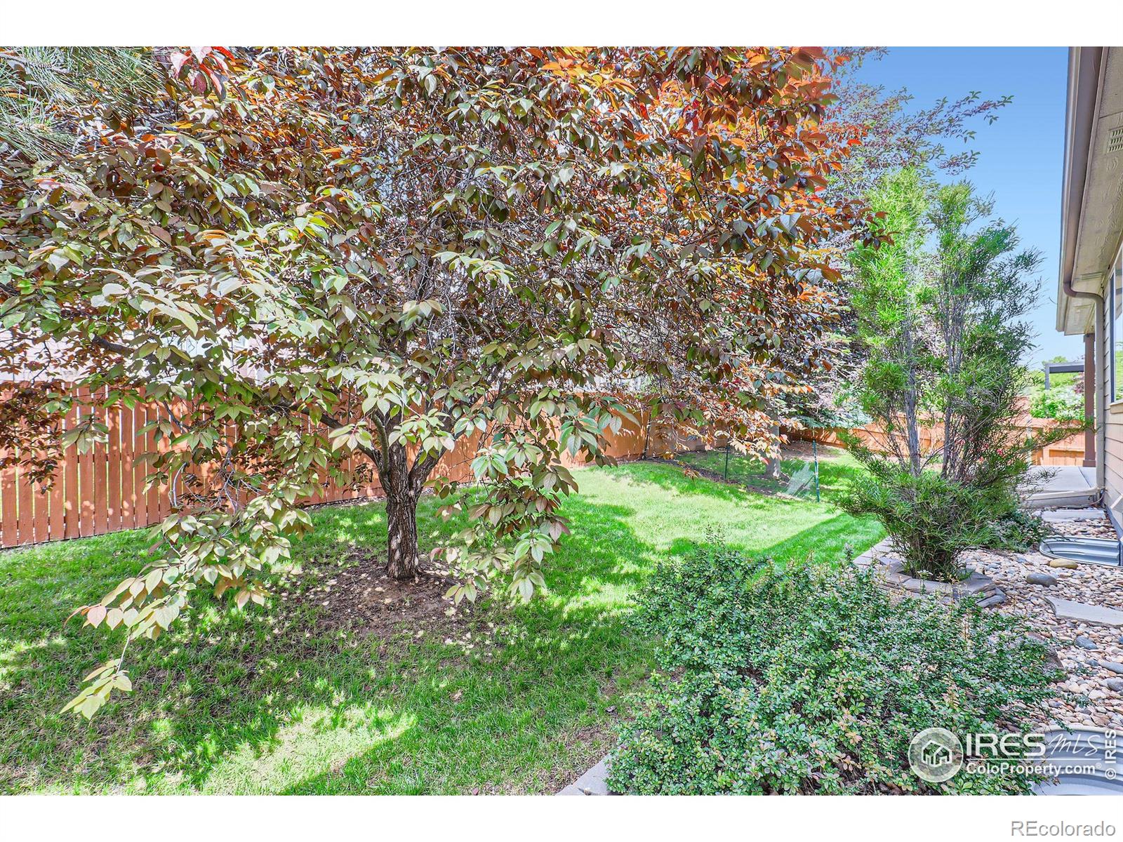 MLS Image #26 for 13385  jasmine street,thornton, Colorado