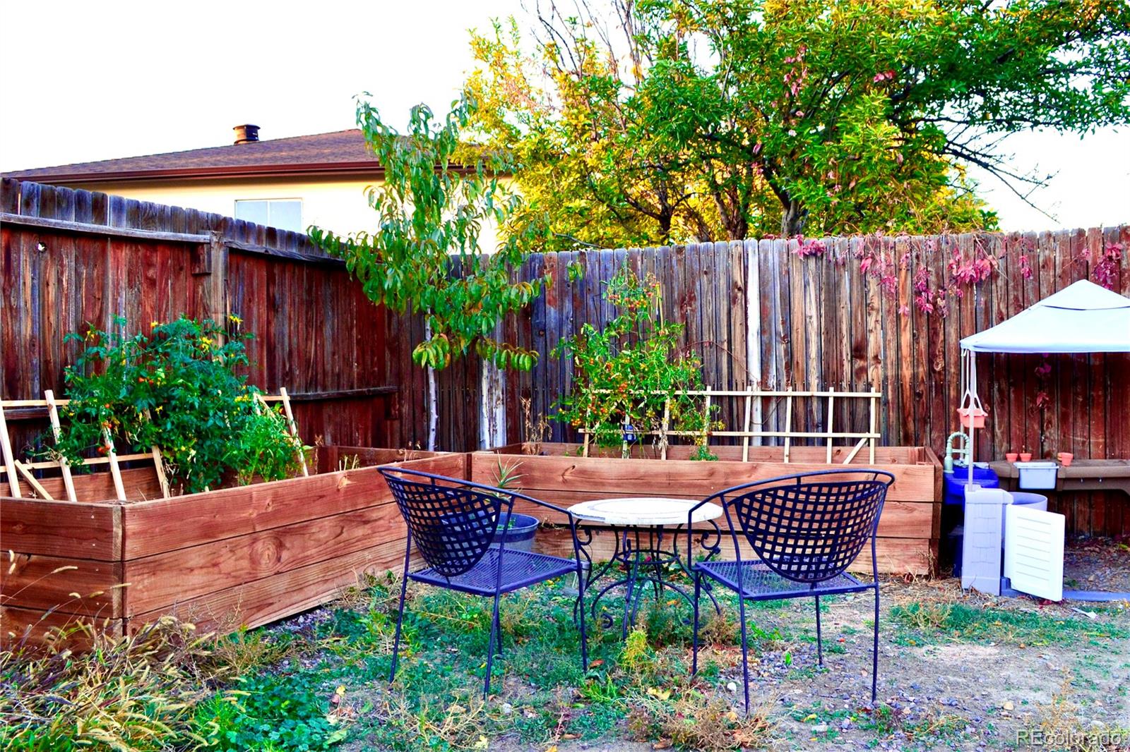 MLS Image #32 for 3320  kassler place,westminster, Colorado