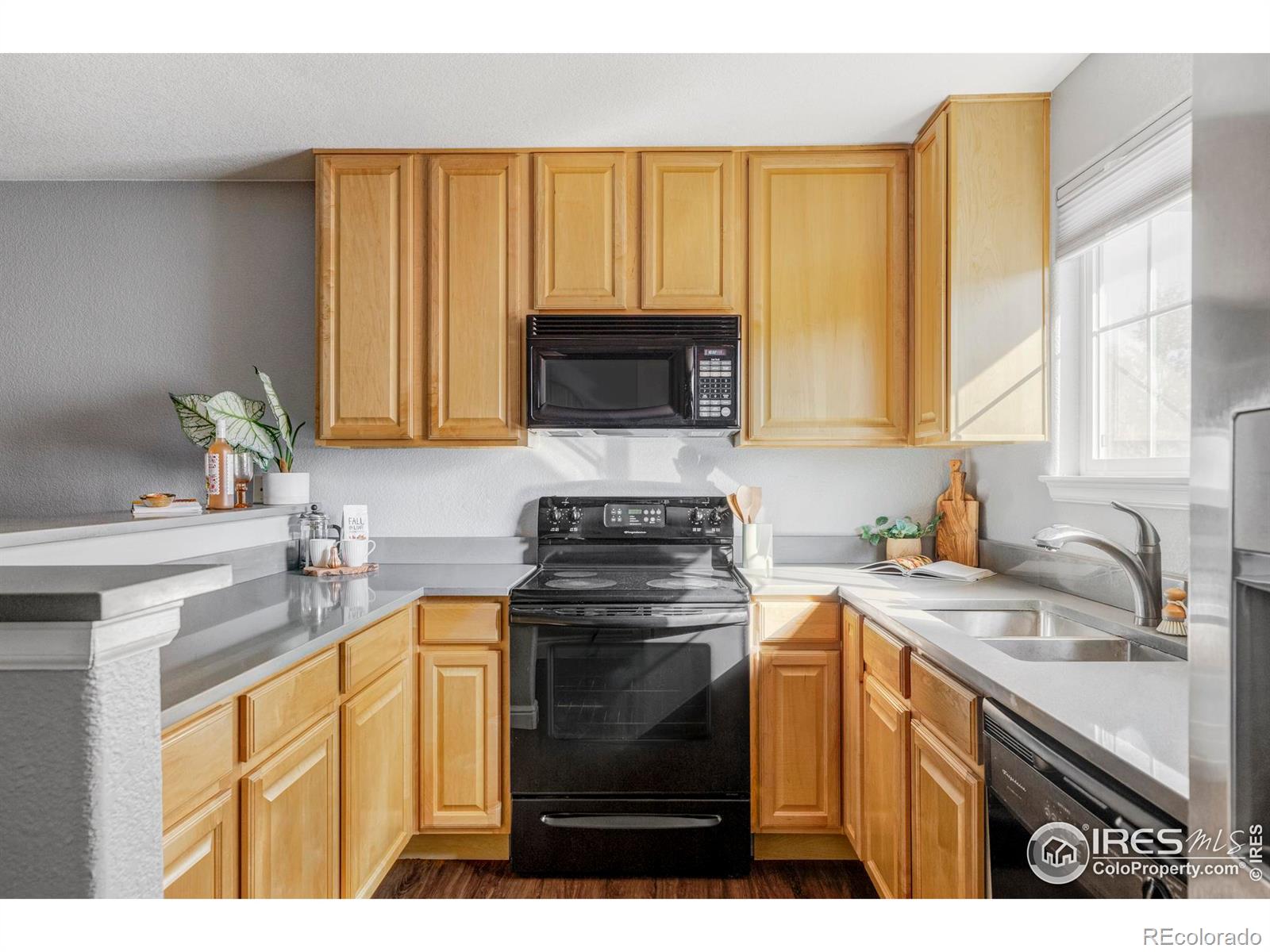 MLS Image #13 for 4240  riley drive,longmont, Colorado
