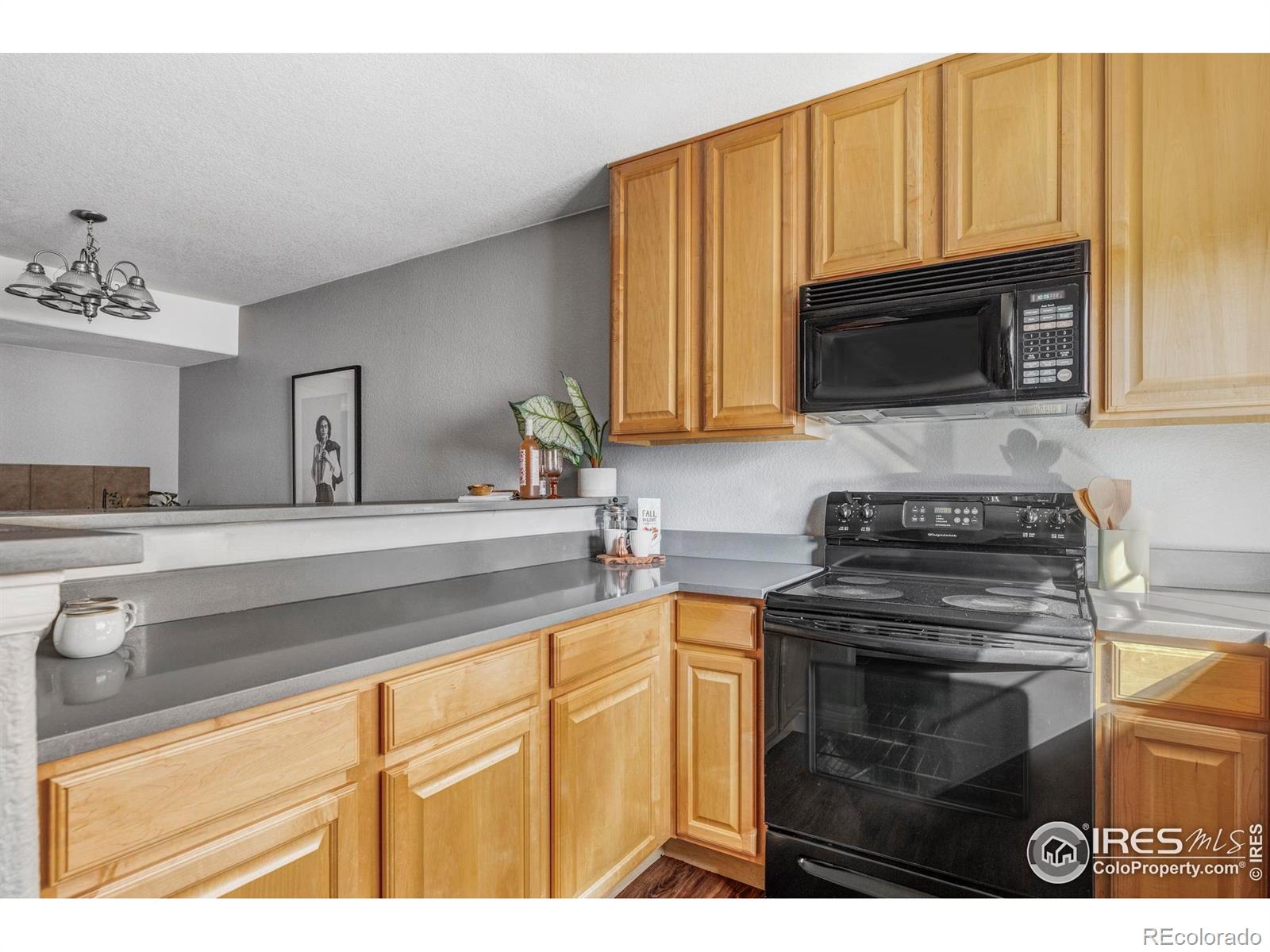MLS Image #14 for 4240  riley drive,longmont, Colorado