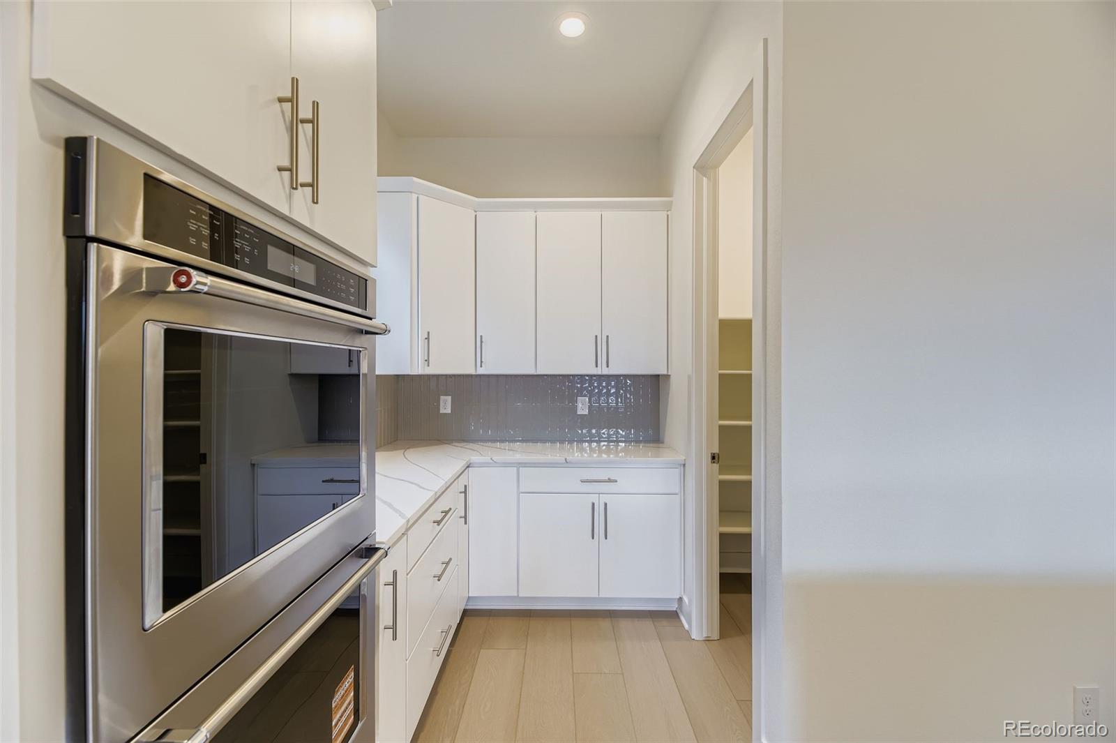 MLS Image #10 for 641  bistort point,castle rock, Colorado