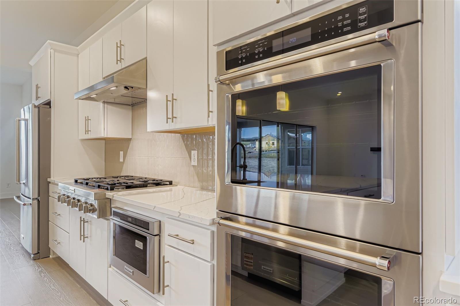 MLS Image #11 for 641  bistort point,castle rock, Colorado