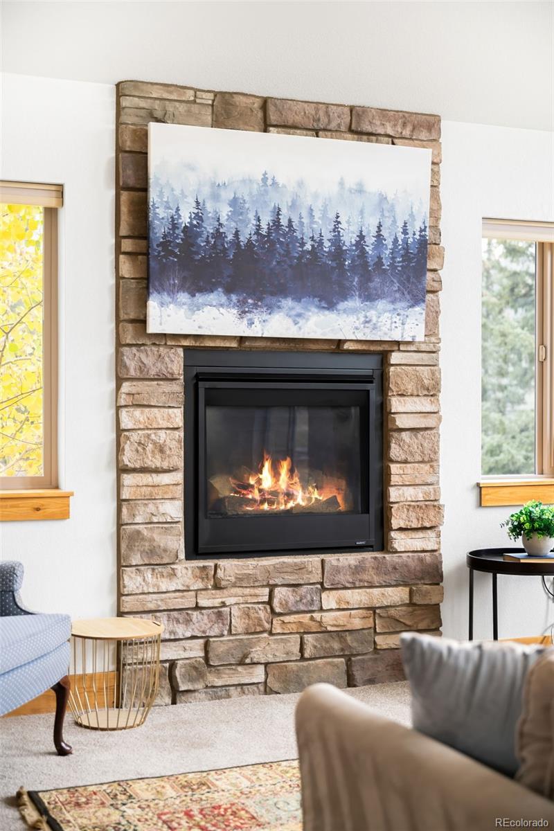 MLS Image #17 for 10248 s turkey creek road,morrison, Colorado