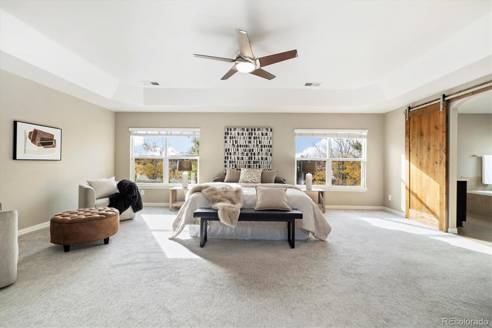 MLS Image #15 for 5801  dressage street,timnath, Colorado