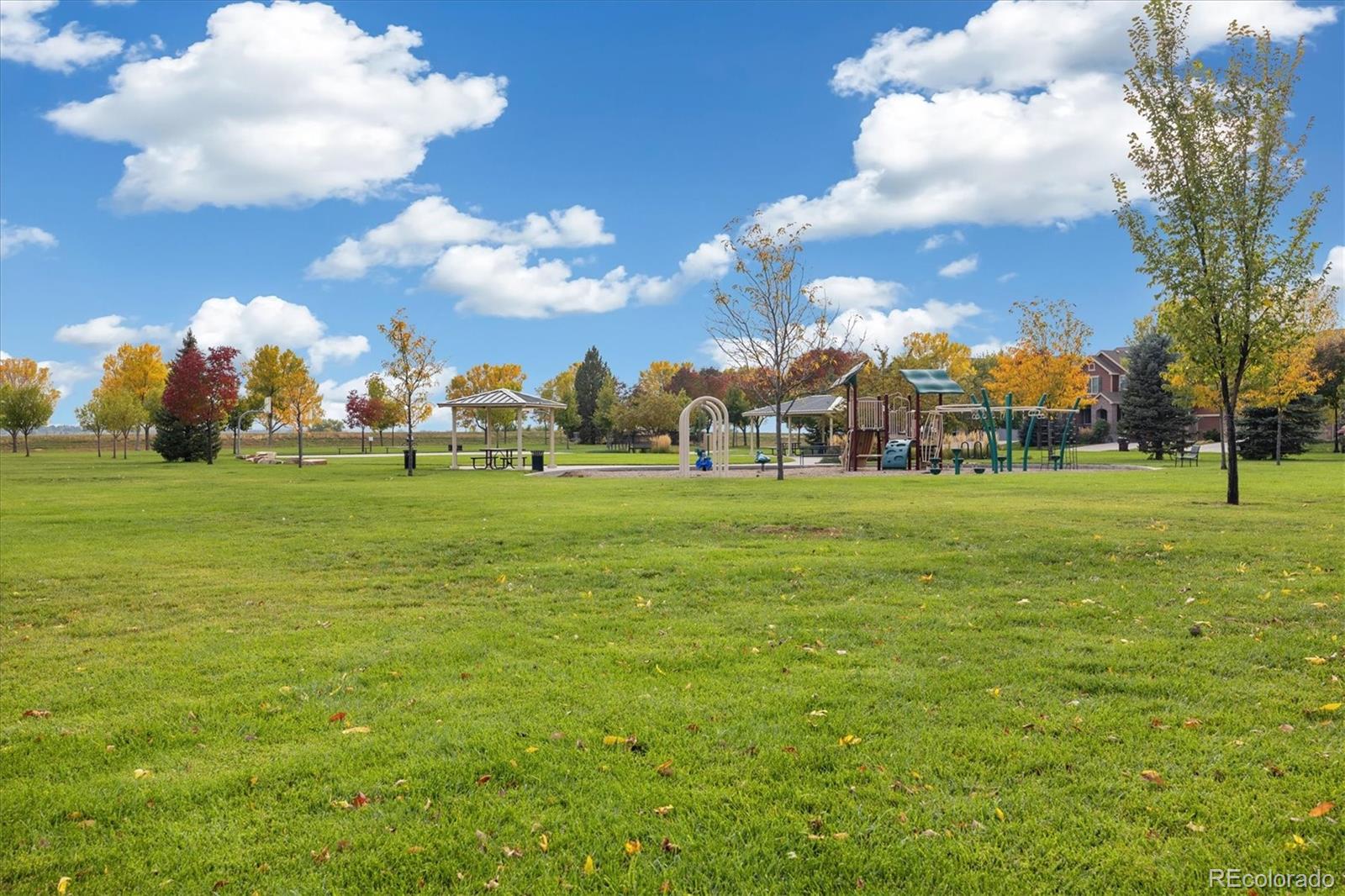 MLS Image #36 for 5801  dressage street,timnath, Colorado