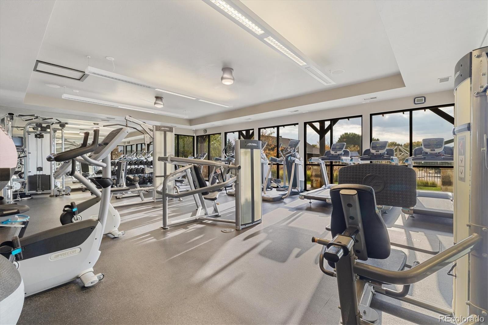 MLS Image #39 for 5801  dressage street,timnath, Colorado