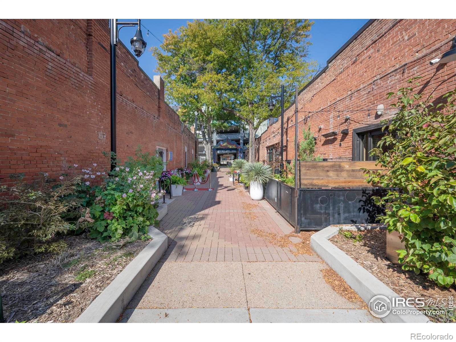 MLS Image #43 for 222  bowen street,longmont, Colorado
