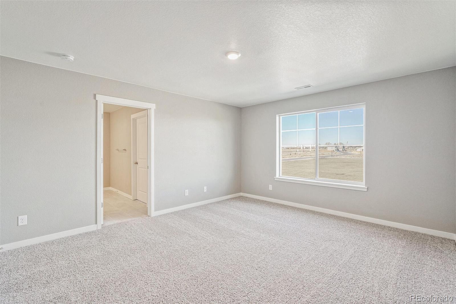 MLS Image #20 for 972  tallus street,lochbuie, Colorado