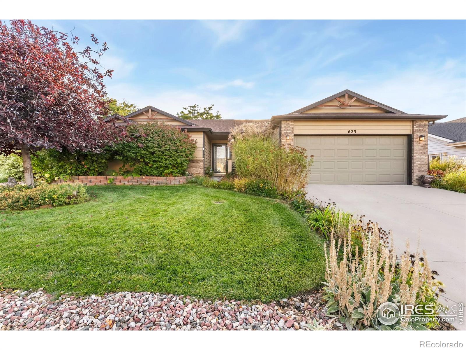 MLS Image #0 for 623  foxtail way,severance, Colorado