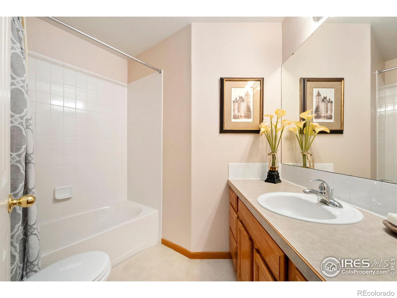MLS Image #20 for 623  foxtail way,severance, Colorado